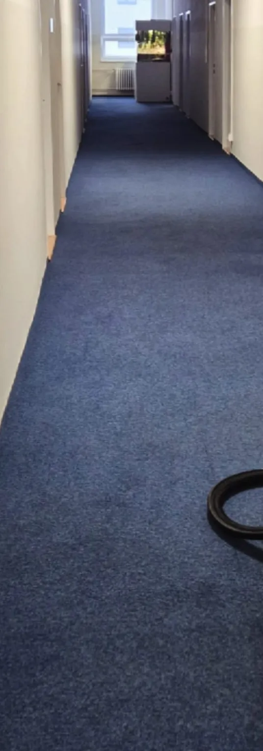 Vyčištěný koberec na chodbě po tepování